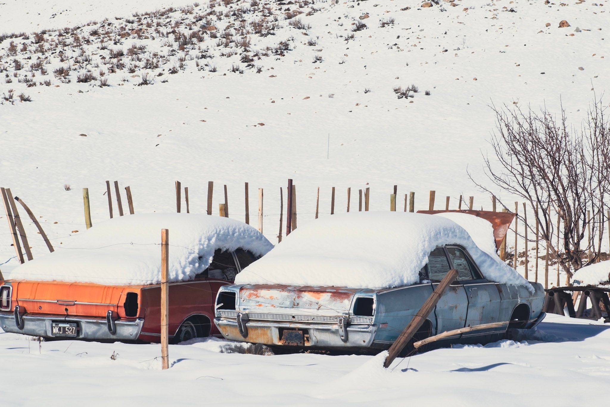 Dos autos viejos, uno naranja y otro celeste, cubiertos de nieve detrás de un alambrado, con un cerro nevado de fondo
