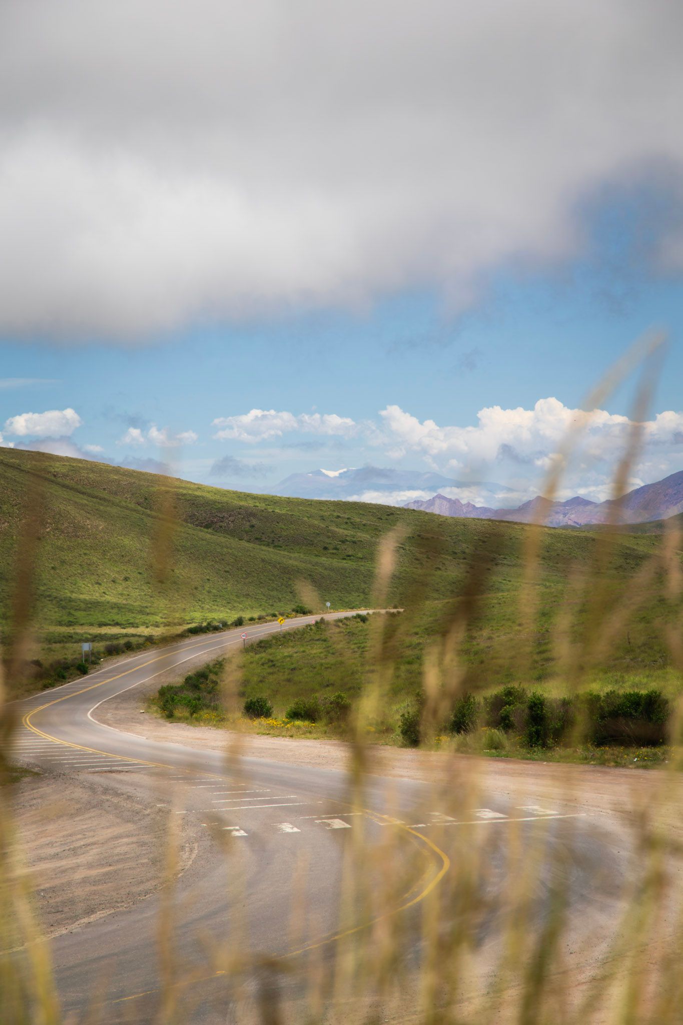 Curva de una ruta entre lomas verdes vista entre pastos altos desenfocados, con nubes y montañas al fondo