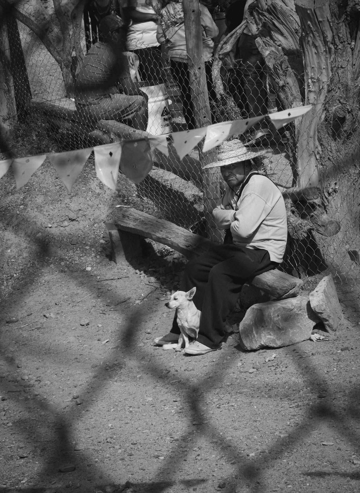 Señor con sombrero sentado en un tronco junto a su perro, bajo banderines, visto a través de un alambrado, en blanco y negro