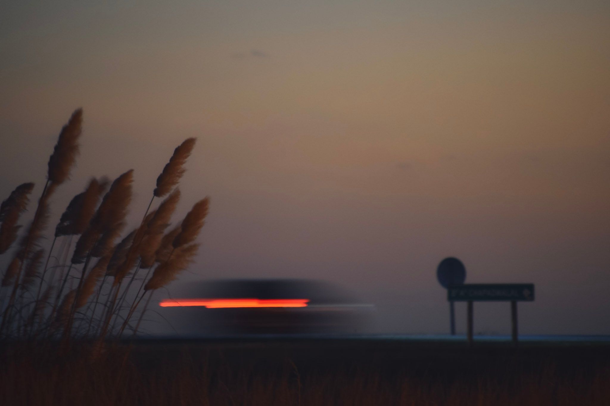 Cortaderas en silueta al atardecer y la estela roja de las luces de un auto que pasa junto a un cartel de ruta